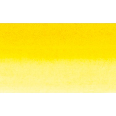 SENEGAL YELLOW