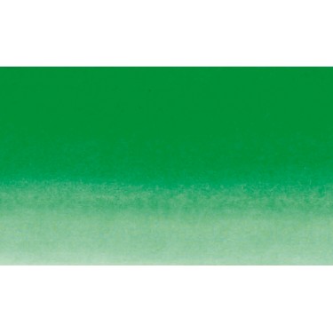 SPRING GREEN