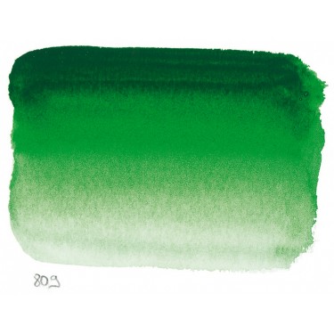 HOOKER'S GREEN HOOKER'S GREEN