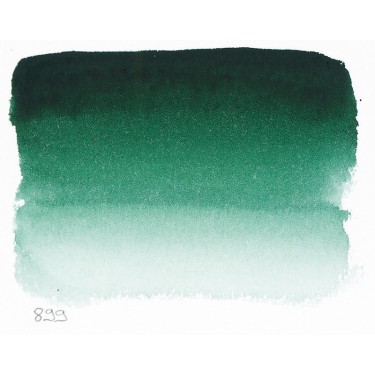 FOREST GREEN FOREST GREEN