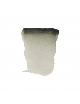 REMBRANDT DAVY'S GREY