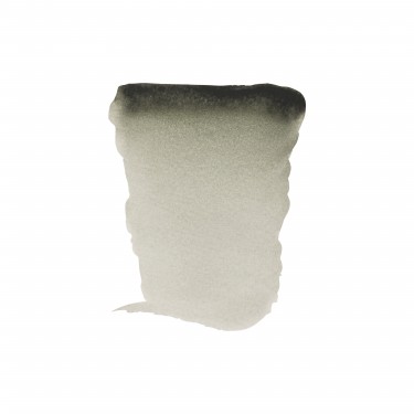 REMBRANDT DAVY'S GREY REMBRANDT DAVY'S GREY